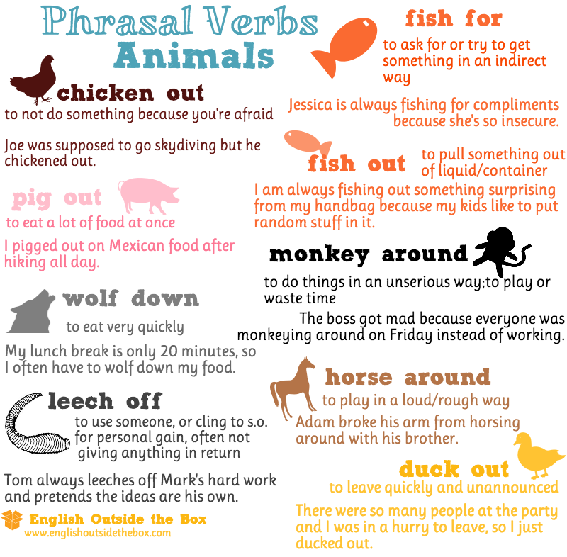 Verbs (Eng) - English -D