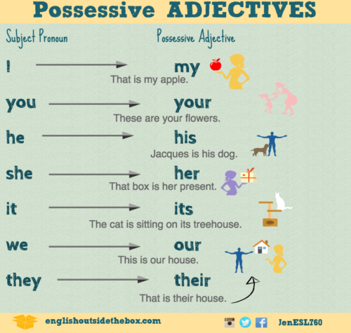 possessive adjectives and examples | Learn English with English Outside the Box