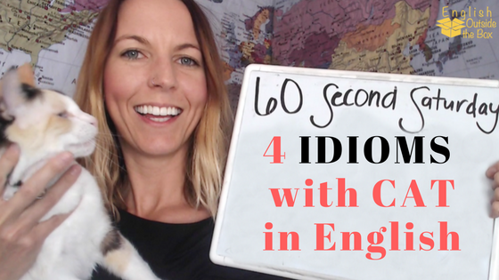 4You Language School Vignola - 🇬🇧🇺🇸 IDIOM A SCAREDY-CAT